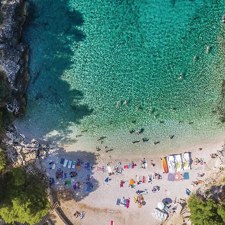 Lovely In With Wifi 別荘